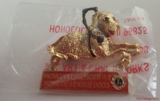 Lions Club Pin Leader Dog Laying Michigan District 11 A 2 Blind
