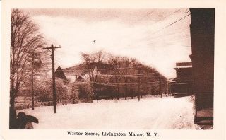 1920 Livingston Manor NY Winter Scene Postcard
