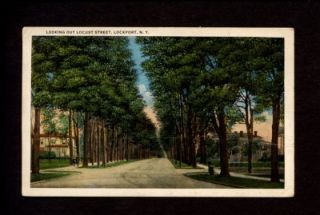 Lockport New York Locust Street Postcard 1915 20