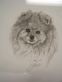 Pomeranian Dog Pencil Sketch Artwork Framed Signed