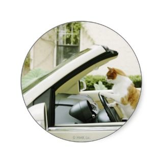 Cat Driving Convertible Photo Poster Print Round Sticker