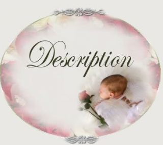 Beautiful Reborn Baby Doll Christopher by Christine Cherubs