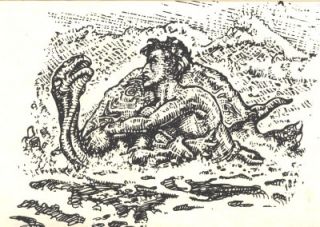 1929 C Illustrations Mahlon Blaine Turtle