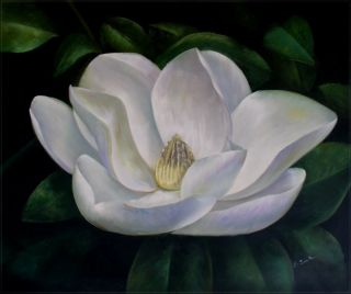 Framed Giant Single White Magnolia Hand Painted Oil Painting 20x24in