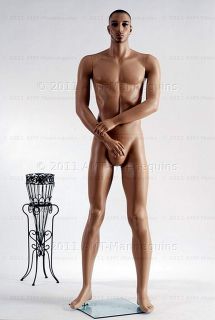 Male Mannequin AMT Mannequins Standing Display Manikin Tall Bill