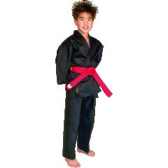 Traditional Karate Martial Arts Uniform Gi Blue Black White or Red