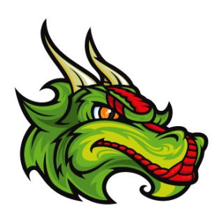 Vinyl Decal Stickers Angry Dragon Head Mascot WRS57