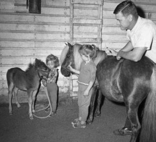 1964 Orig 2x2 NEG Ponies in Stables Balmoral Park 401
