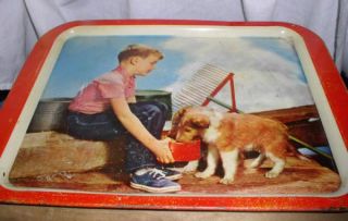 Vintage Metal TV Tray Little Boy in Tennis Shoes Feeding Collie