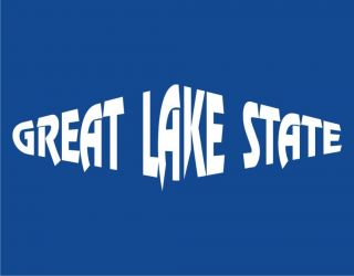 Great Lake State Funny T Shirt Michigan Nickname Tee
