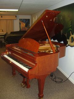 Exotic Bubinga Wood Falcone Grand Piano Steinway Bench Optional Player