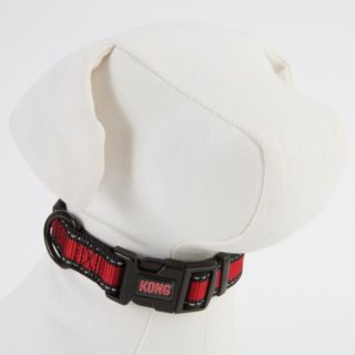 Dog Summer PETssentials KONG® Adjustable Dog Collars