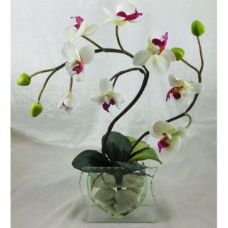 Orchidee Kunstblume Kunstpflanze Seidenblumen M Vase