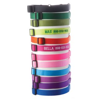 Martingale Collars for Dogs  Coastal Pet Products Personalized Martingale Dog Collars