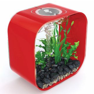 biOrb Life 30 Designer 8 Gallon Red Aquarium   Fish   Boutique