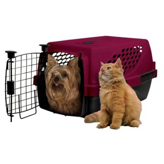 Cat Carrier & Cat Kennel From Simple to Designer