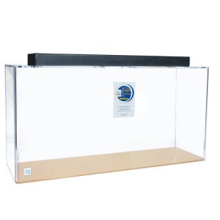 Clear For Life Rectangle Acrylic Aquarium 300 Gallons   Clear