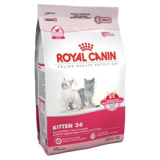 Royal Canin Kitten 36 Formula Cat Food   Food   Cat