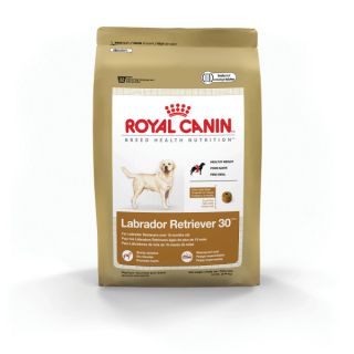 Royal Canin Labrador Retriever 30 Formula Dog Food   Food   Dog