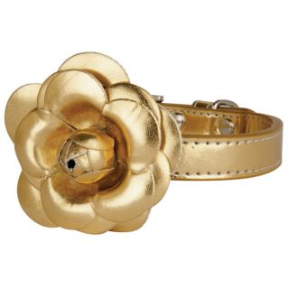 The Flower Dog Collar by LazyBonezz   Gold