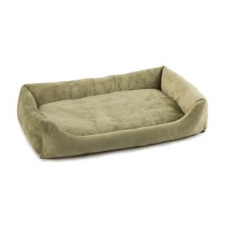 Cat Beds and Traditional Pet Beds