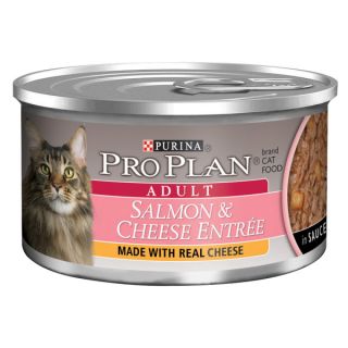 Purina Pro Plan brand Cat Food   Salmon & Cheese