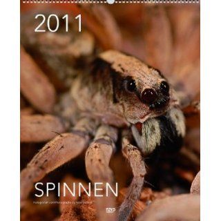 Spinnen 2011, 40x49 cm Peter Sehnal Bücher