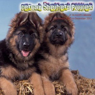   German Shepherd Puppies 2013 Kalender Magnum Bücher