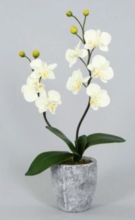 Homestyles 109319 48 608817 Orchidee cremefarbig mit Topf 40 cm