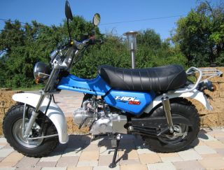 Skyteam T Rex 125ccm Blau