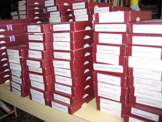 KUF Reihe 132 Serienpackungen Nosoden von Staufen Pharma Potenzreihe A