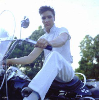 Elvis Presley Songs, Alben, Biografien, Fotos
