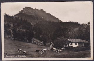 D142/ AK Schwaigeralm bei Birkenstein **