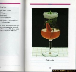Cocktails und Drinks Köstliche Rezepte mit und ohne Alkohol der