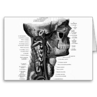 Human head and neck diagram greeting card
