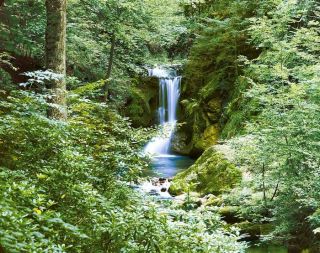 Fototapete WATERFALL IN SPRING 366x254 Wald Wasserfall Bach Fluss