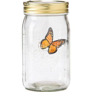 fliegender flatternder Schmetterling im Glas   blauer Morpho Falter