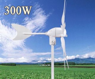 Windgenerator 300W DC 12V Weiß Wind Turbine Generator 6 Blades