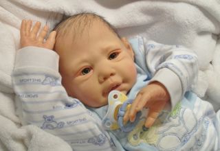 Reborn Baby Florian, Reallife (BS E. Steger m. Zertifikat.)