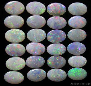 Echter australischer Edelopal Lot von 3 Opalen je 6 x 4 mm   NEU in