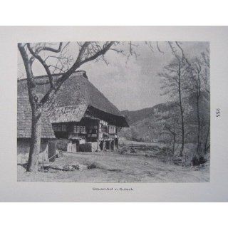 Bauernhof in Gutach / Titisee mit Feldberg   historischer Fotodruck