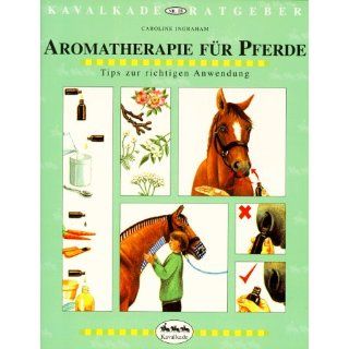 Aromatherapie für Pferde. Tips zur richtigen Anwendung 