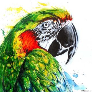AQUARELL PAPAGEI ARA PARROT MACAW PAINTING WATERCOLOR ZEICHNUNG SANDRA