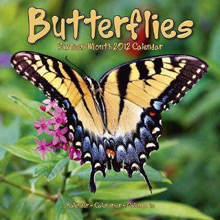 Kalender 2012 Schmetterlinge   Butterflies   Falter 