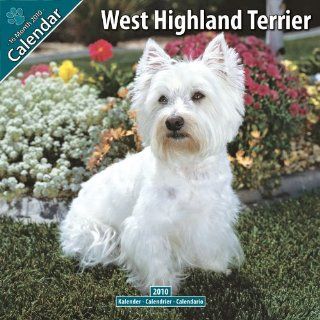 Kalender 2010 West Highland White Terrier   Westie Bücher