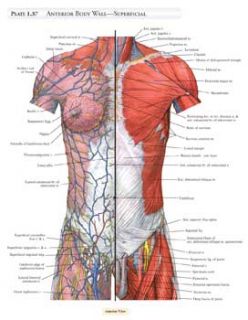 Student Atlas of Anatomy (Mps Siam Series on Optimizatio