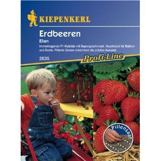 Pillensaat Erdbeere  Elan  Garten