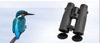 NEW Hawke FRONTIER 8x43 ED MK II Binoculars + Case HA3787 in Green *UK