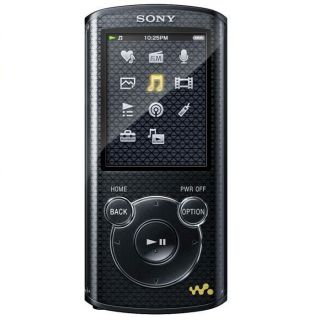 Sony Walkman NWZ E463 E Series 4GB  Player FM Radio Voice Recorder