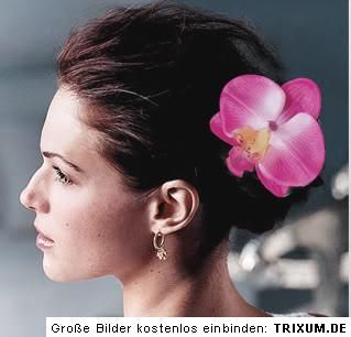 lila Orchidee fürs Haar Haarspange Blume dunkel lila XXl Blumenspange